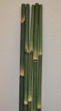 Bambusová tyč 3 - 4 cm, délka 2 metry - barvená zelená, 