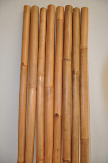 Bambusová tyč 3- 4 cm, délka 2 metry - lakovaná medová, 
